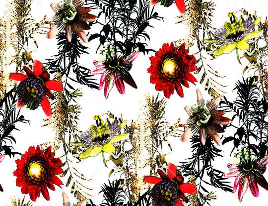 热带雨林印花华亿平台图片