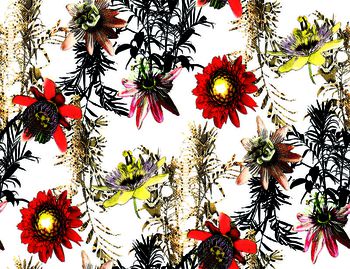 热带雨林印花华亿平台图片