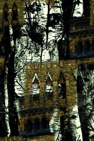 房子印花华亿平台图片