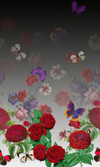 蝴蝶印花华亿平台图片