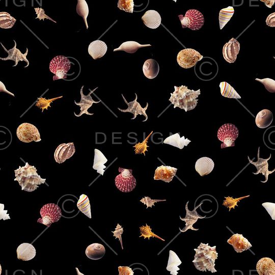 贝壳印花华亿平台图片