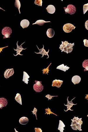 贝壳印花华亿平台图片