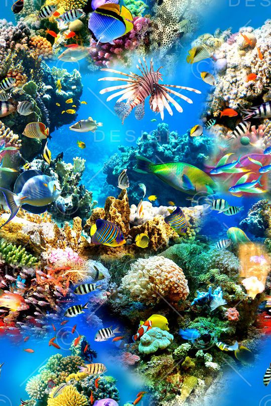 时尚印花华亿平台图片