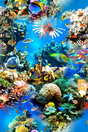 时尚印花华亿平台图片