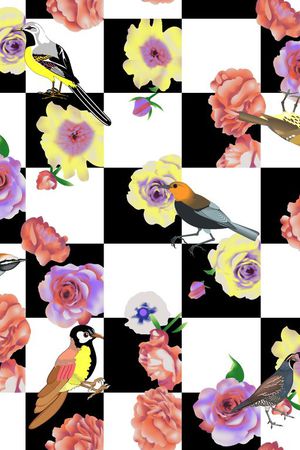 2016年春夏印花华亿平台图片