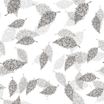 515509-一叶一世界，趣味叶子华亿平台