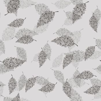 515512-一叶一世界，趣味叶子华亿平台