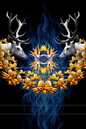 冰焰火焰印花华亿平台图片