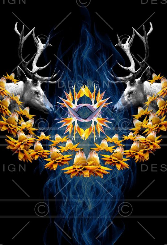 冰焰火焰印花华亿平台图片