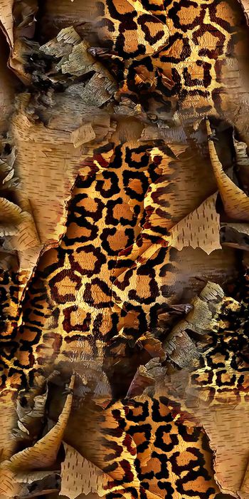 515639-复古  2016动物纹系列 豹纹 