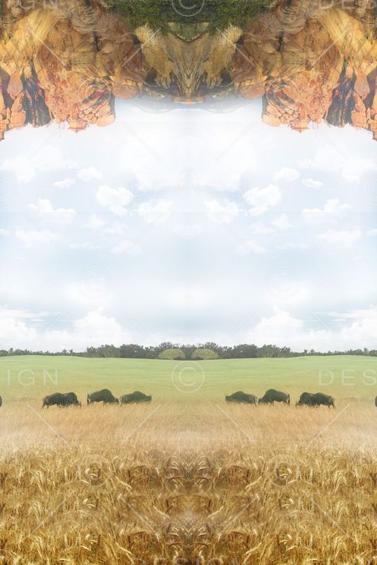 草原印花华亿平台图片