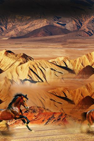 大牌印花华亿平台图片