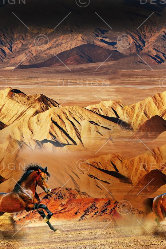 大牌印花华亿平台图片