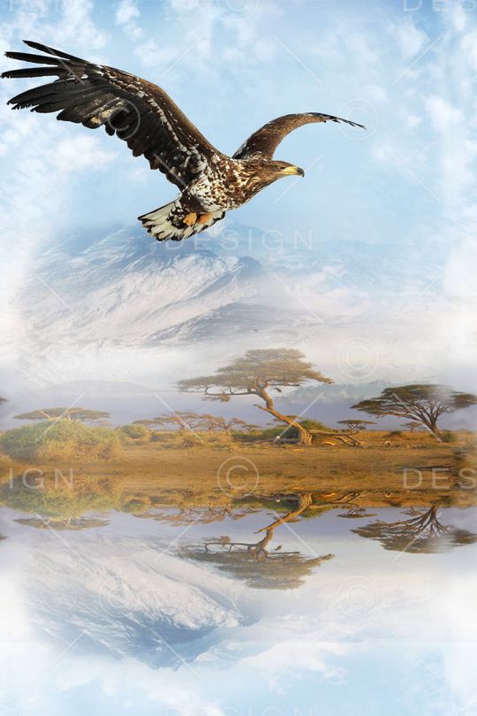 大牌印花华亿平台图片