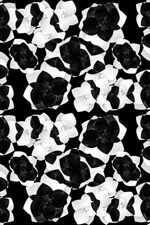 潮流个性印花华亿平台图片