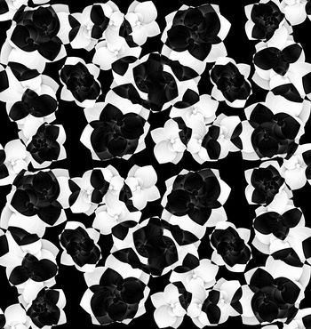 515868-个性抽象潮流时尚花卉组合印花.