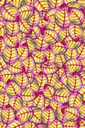 森林落叶印花华亿平台图片