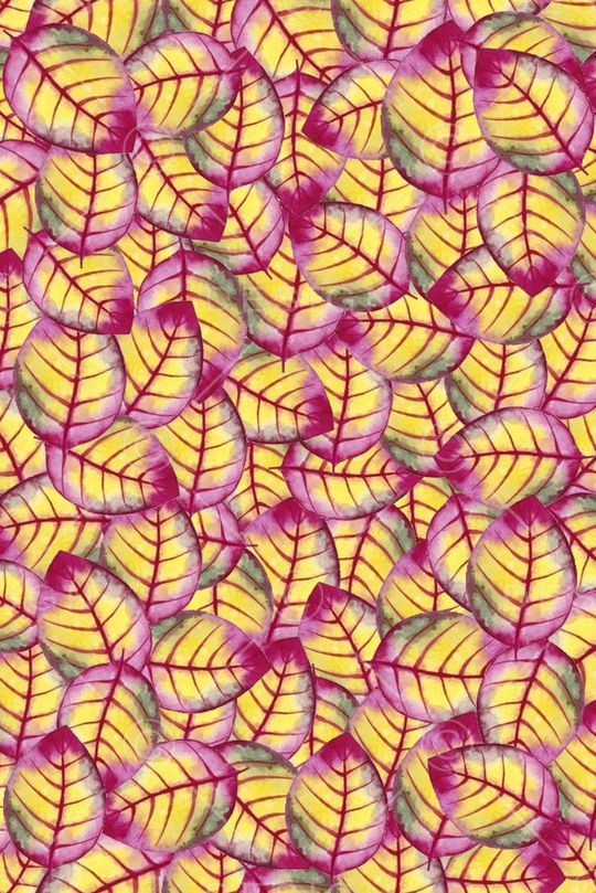 森林落叶印花华亿平台图片