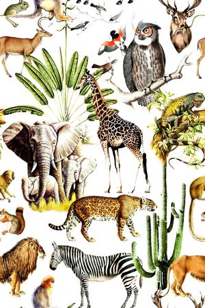 时尚印花华亿平台图片