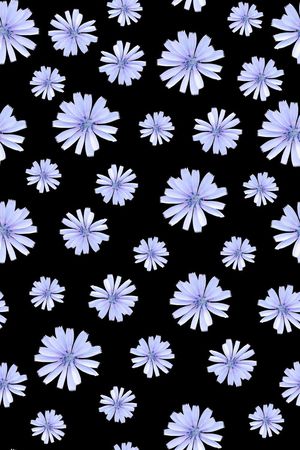 雏菊印花华亿平台图片