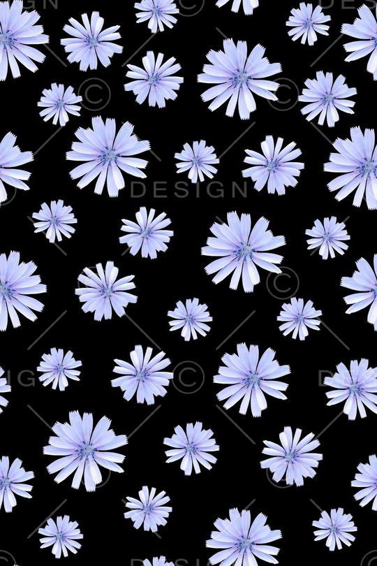 雏菊印花华亿平台图片