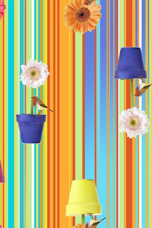 2016年春夏印花华亿平台图片