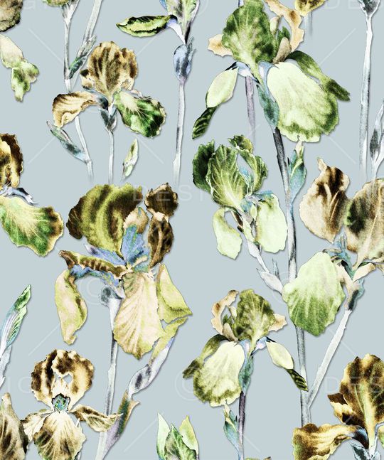 满版华亿平台印花华亿平台图片