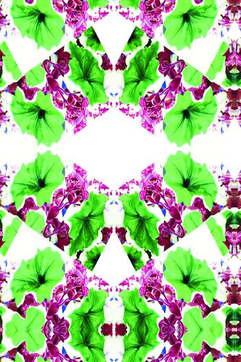 516235-时尚热带花卉休闲田园风