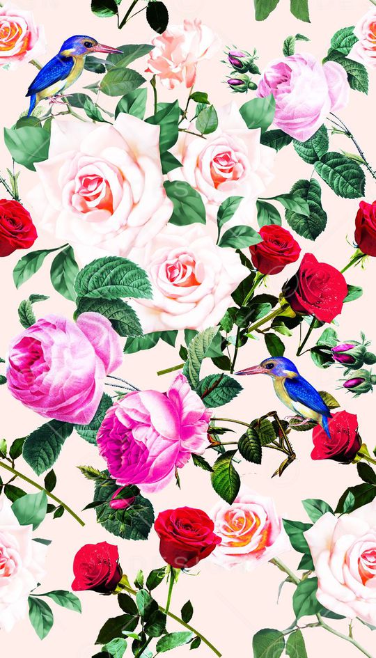 欧美 时尚 巴黎 时装周 DG Dolce & Gabbana 杜嘉班纳 玫瑰 花卉 DG 成衣印花华亿平台图片