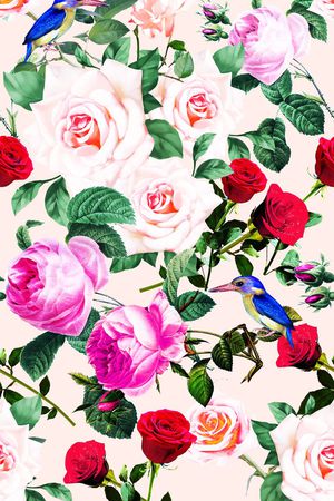 欧美 时尚 巴黎 时装周 DG Dolce & Gabbana 杜嘉班纳 玫瑰 花卉 DG 成衣印花华亿平台图片