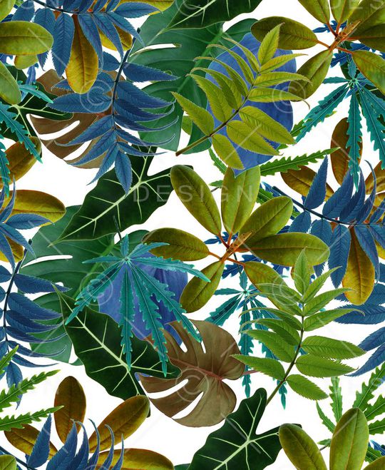 欧美印花华亿平台图片