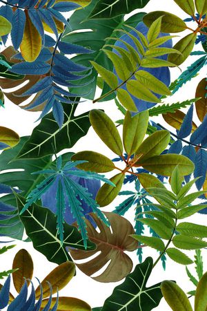 欧美印花华亿平台图片