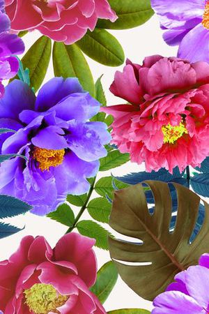 欧美印花华亿平台图片