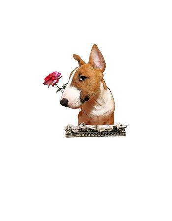 516374-潮流时尚趋势萌狗玫瑰定位花数码印花