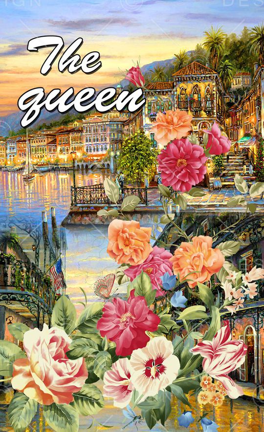 D&G风格大牌印花华亿平台图片