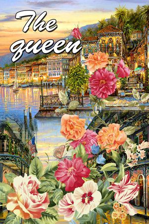 D&G风格大牌印花华亿平台图片