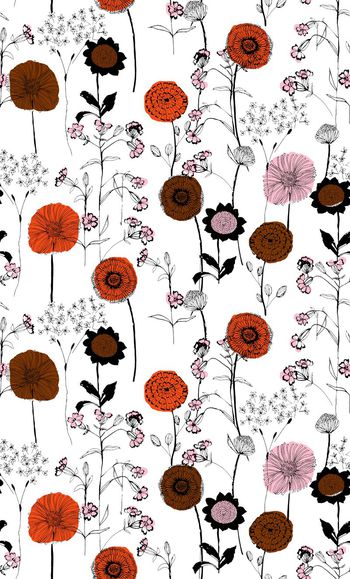 516398-线条简笔画向日葵花卉