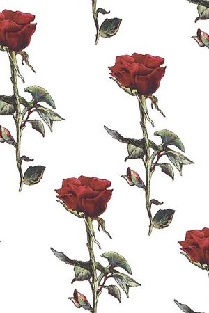 原创印花华亿平台图片