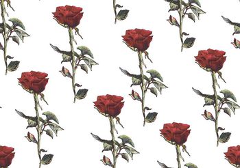 516492-原创大牌玫瑰华亿平台