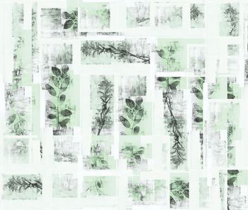 516497-原创时尚大牌几何方格植物标本华亿平台