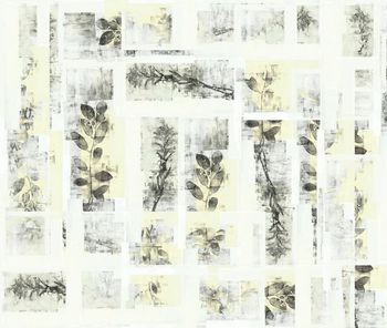 516498-原创时尚大牌几何方格植物标本华亿平台