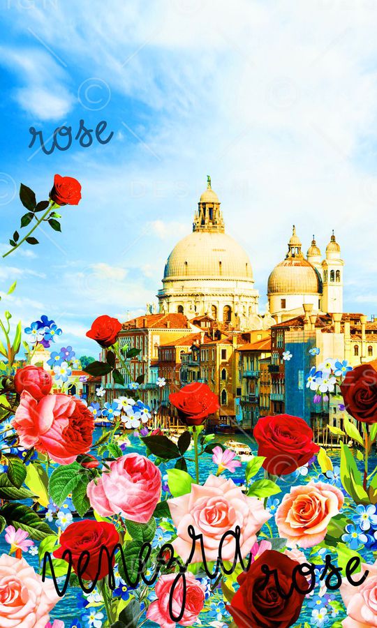 手绘 欧美 风情 Dolce&Gabbana 杜嘉班纳  花卉 城堡 DG 威尼斯 水城印花华亿平台图片