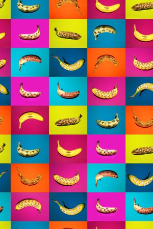 趣味印花华亿平台图片