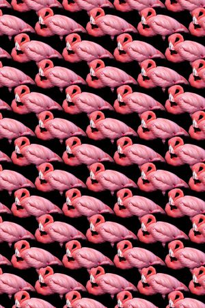 动物印花华亿平台图片