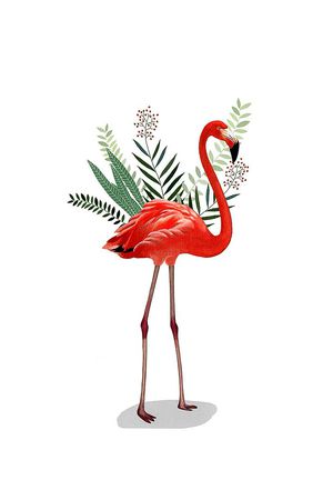 动物印花华亿平台图片