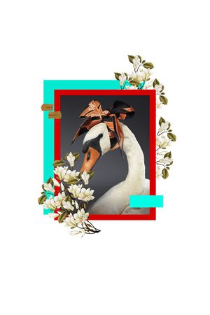 动物印花华亿平台图片