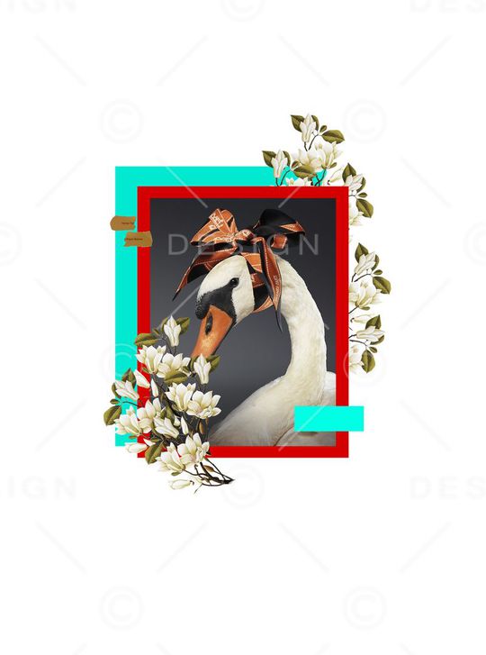 动物印花华亿平台图片