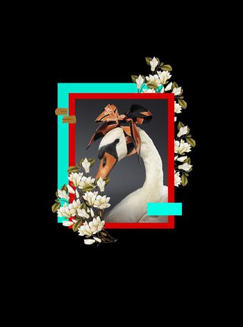 516924-时尚潮流趋势大牌风天鹅花卉定位花数