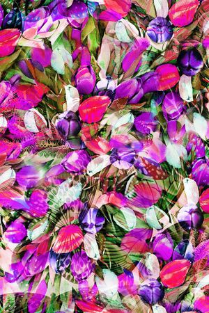 时尚斑斓印花华亿平台图片