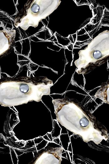 517052-珍珠贝壳new1